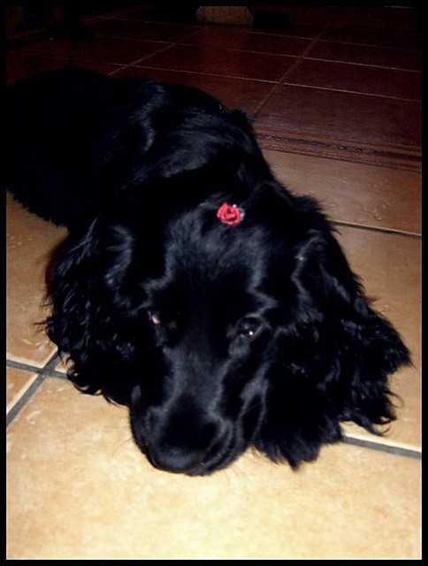 `Moja! 