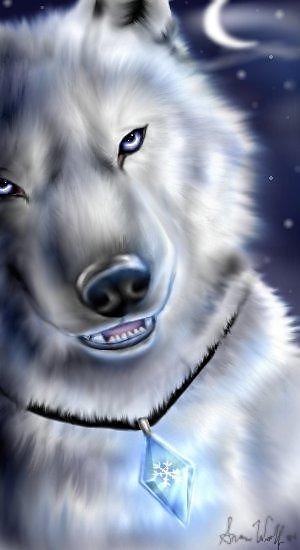 Wilk-Wolf