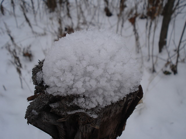snow !!