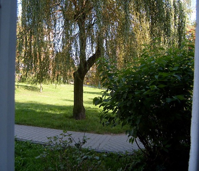172.