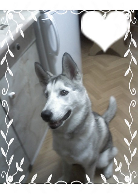 Moja Nusia:D