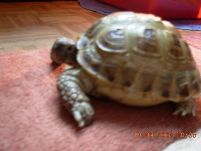 Powrt :)