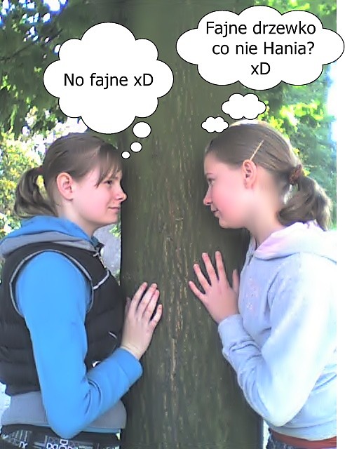 xD