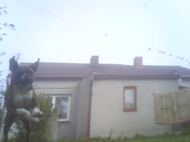 Lece na ciebie 