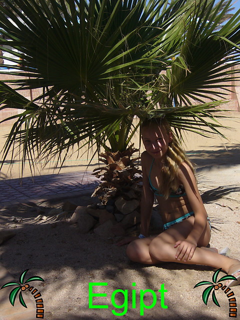 Pod ma PaLm