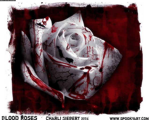 Bloody Rose