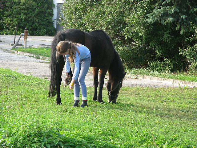 I'm and Lusi