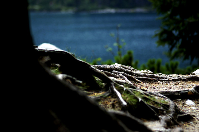 tatry