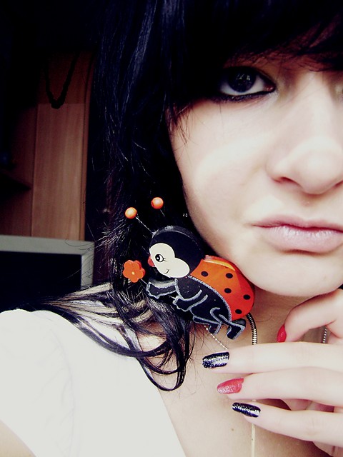 biedrona.
