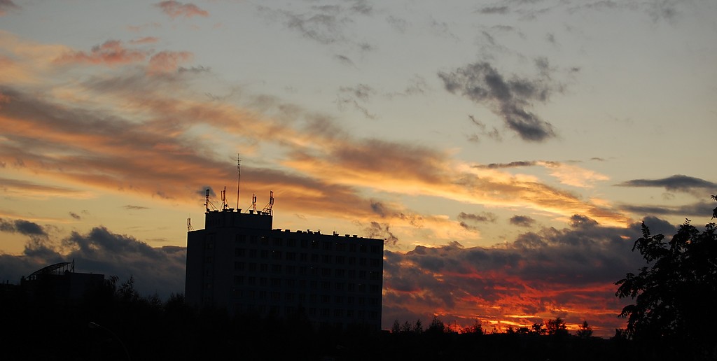 sunart