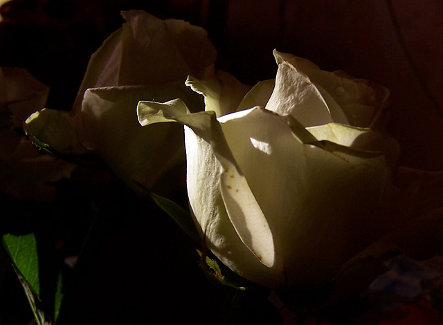 it is just for you