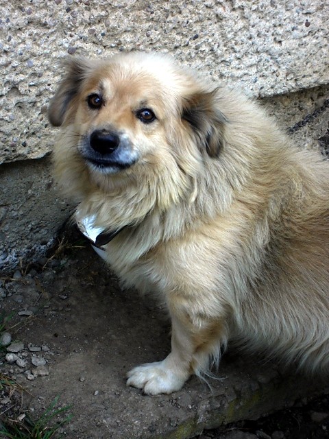 Denis ;3