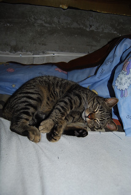 Sweet dreams xD