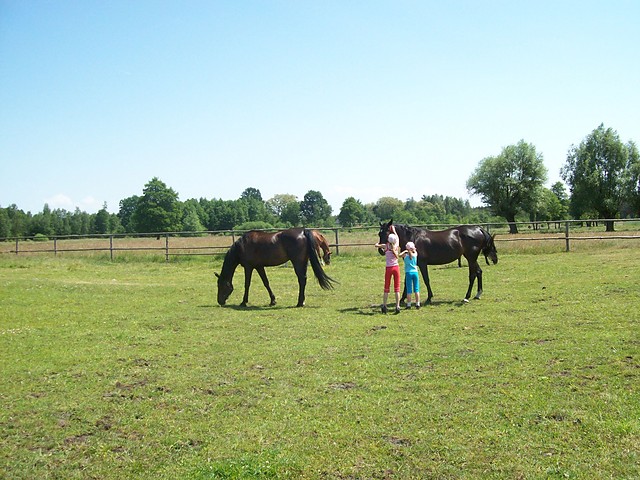Konie, Ja, Asia :)