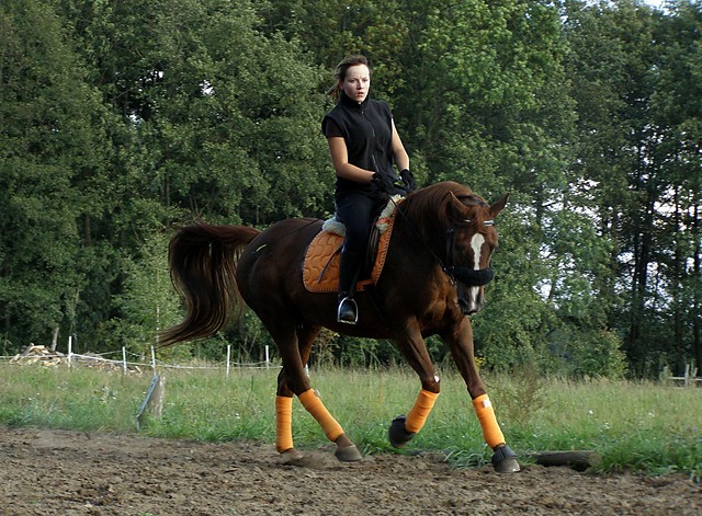Wracamy do treningw :D