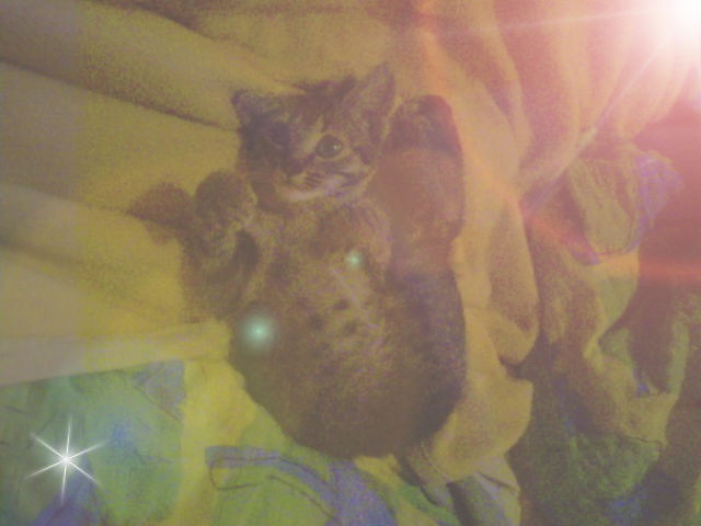 Alvin
