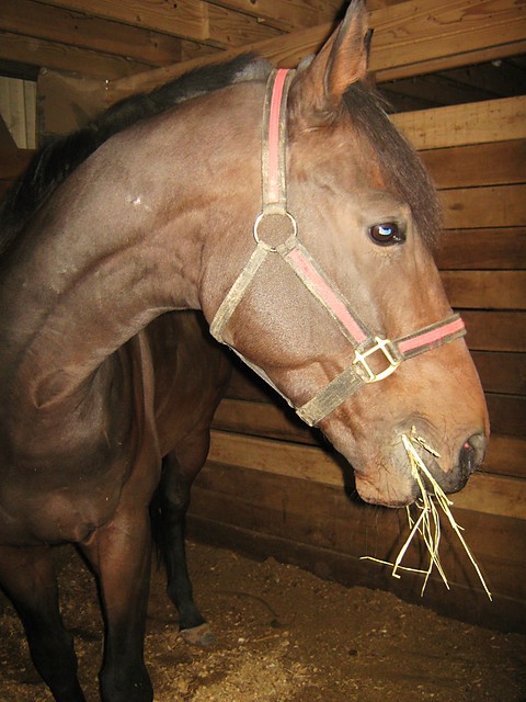 Tizzy.:)