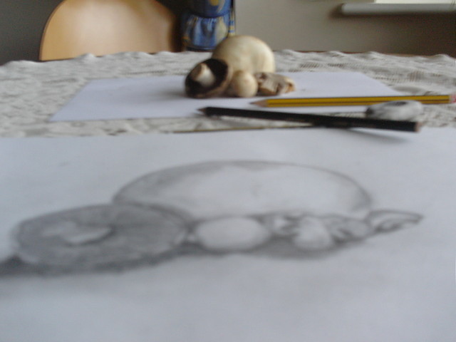 Pieczarki :D