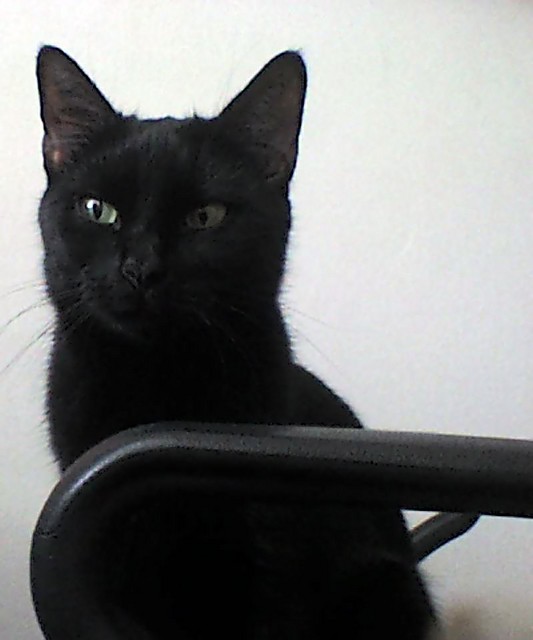 MELA:)