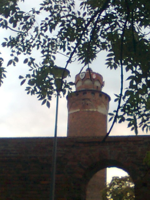 brodnicki zamek