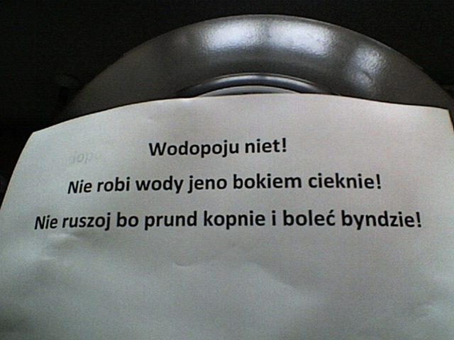 3 dni robocze