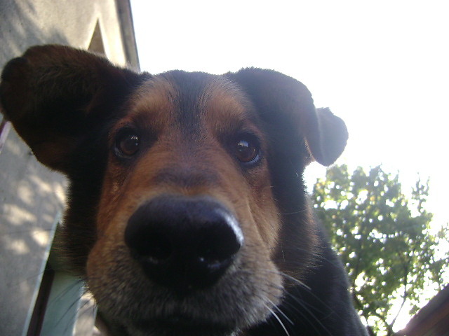 Mordo Ty moja! :D
