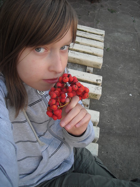 Jarzbina ! 