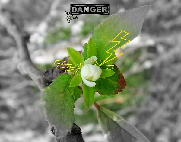 Warning!