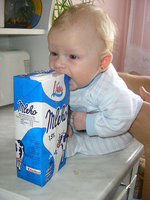 MYSZKA