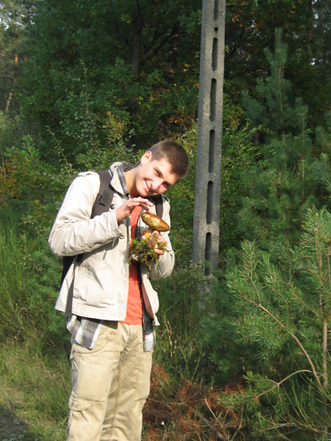 grzybki :)