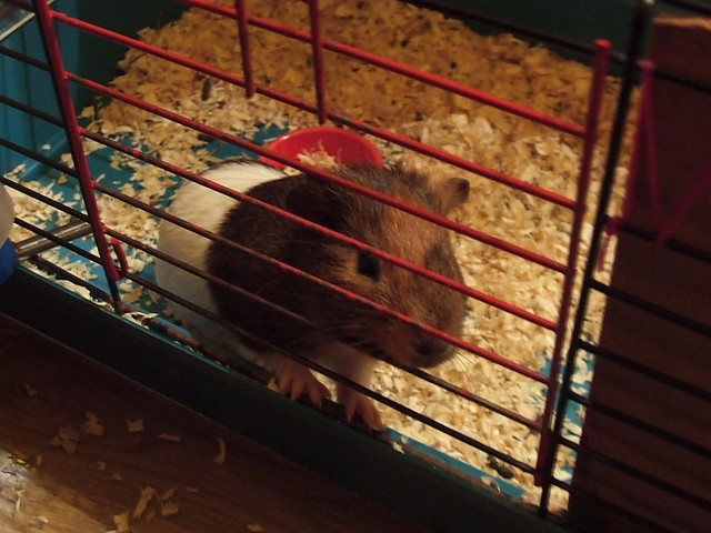 Moja winka:)