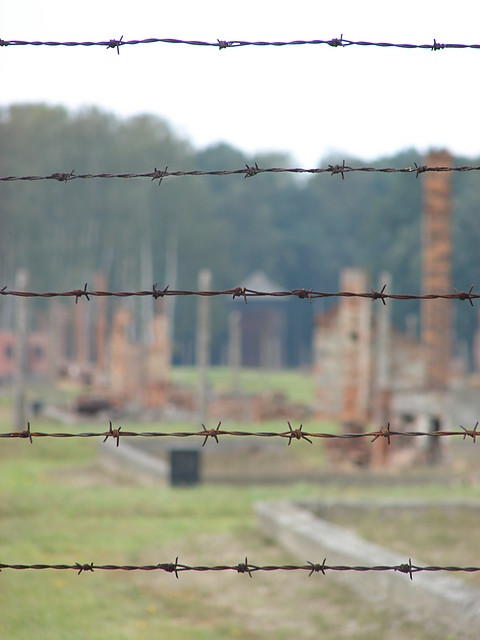 Birkenau 