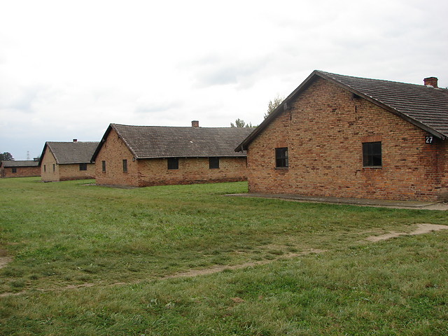 Birkenau II 