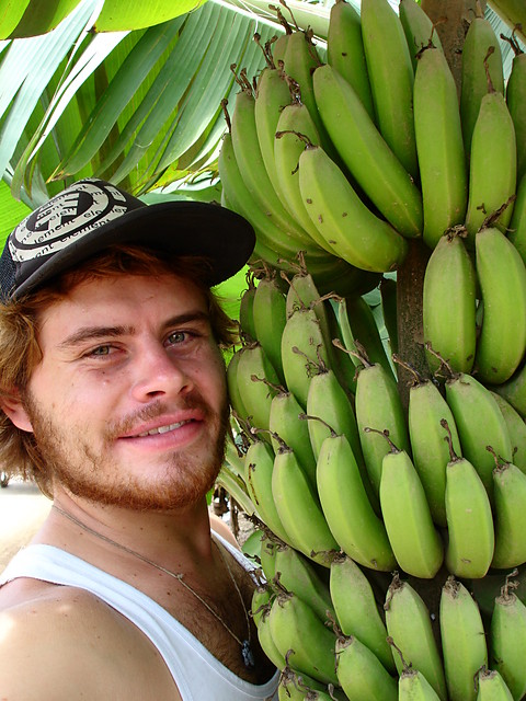 some bananas..