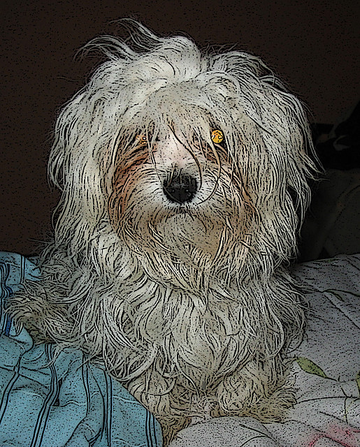 Monster