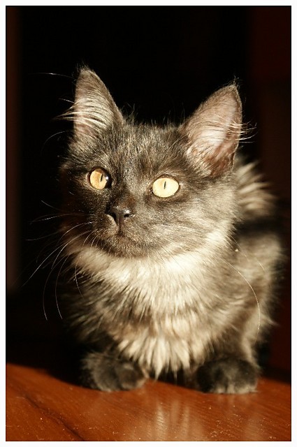 Pixel :)
