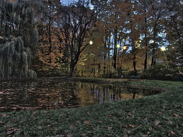 Park