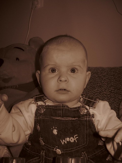 bambino