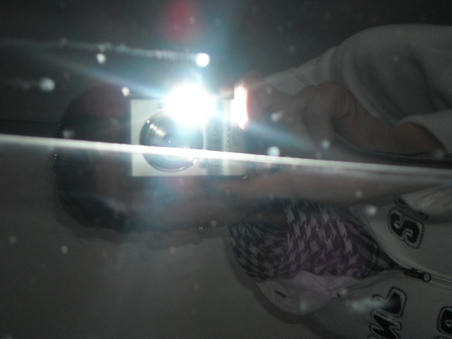 monisia:}