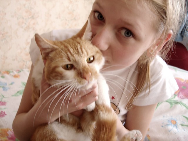 Rudyy [*]