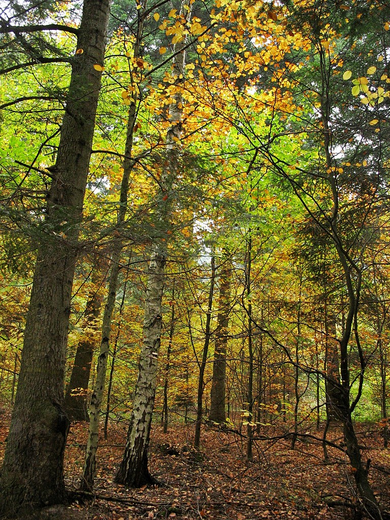 wycieczkowe 3.