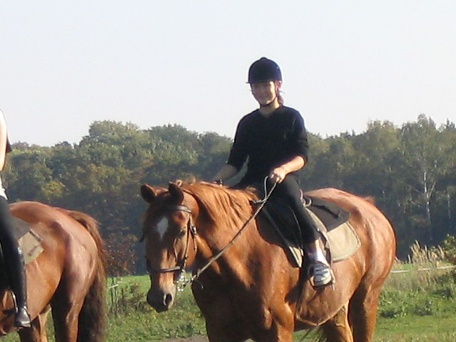 Spisaa