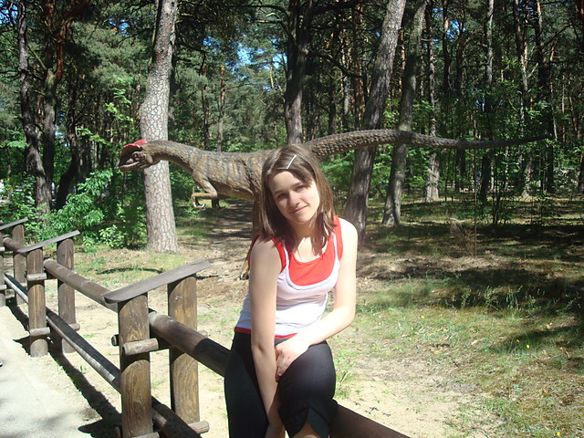 Sylka :**