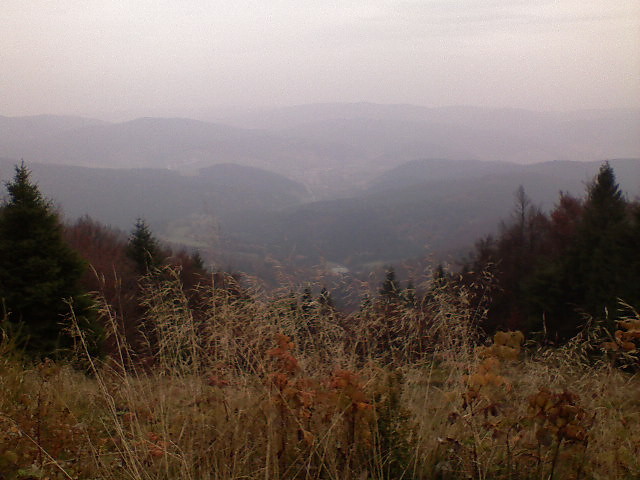 Krynica- widok z Jaworzyny