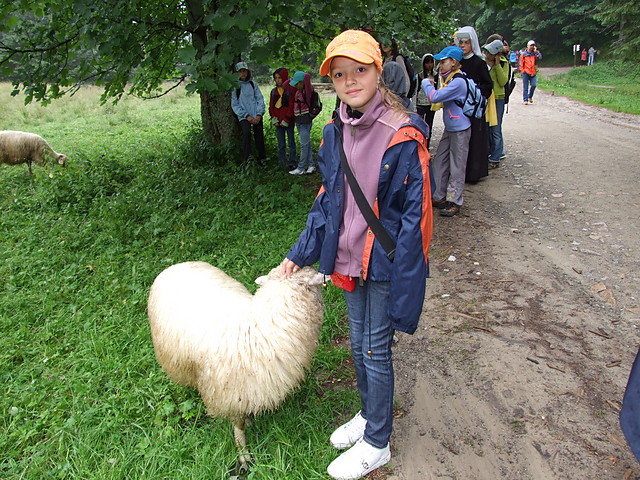 Dolina 