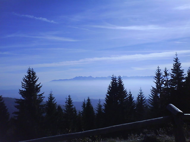 Turbacz