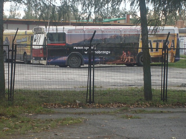 Jelcz M11 #48