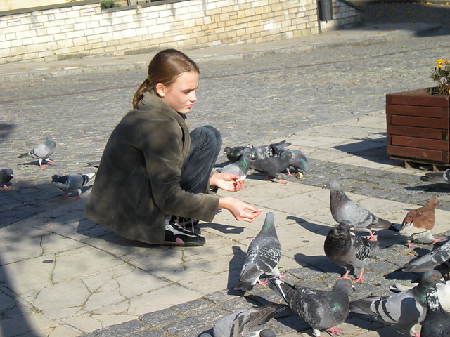 Sandomierz..
