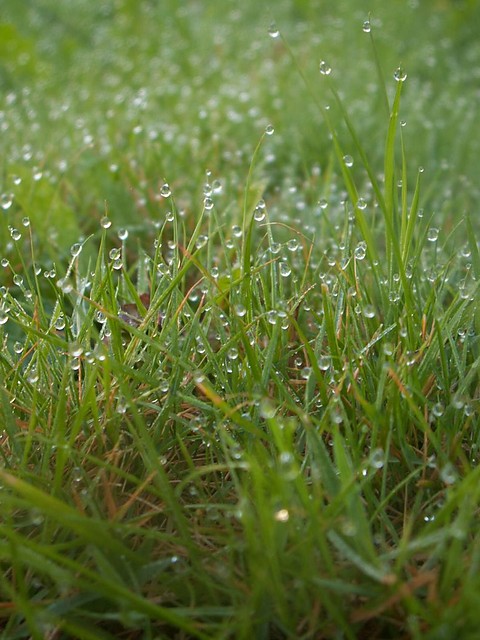 kropelki