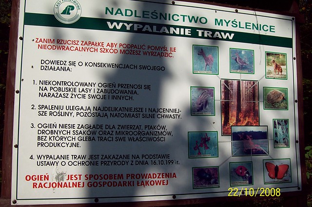 Tez Tyniec